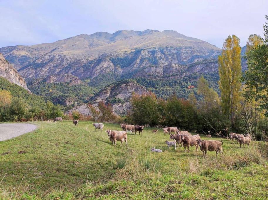 El Refugio De Tena - Tucasaenlospirineos Escarrilla Luaran gambar